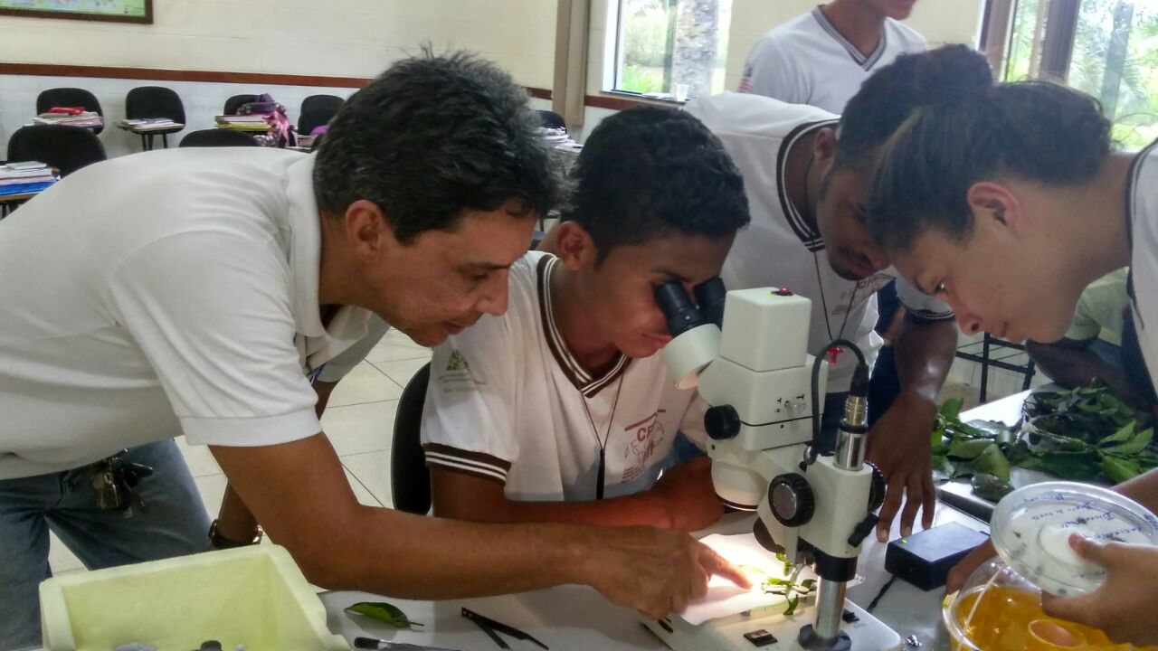 5_Iniciação científica de jovens alunos filhos de agricultores_usando lupa estereoscopica pela primeira vez para identificar insetos praga e inimigos naturais nos citros.jpg